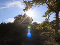 20140721 -23 forcalquier lepage (56)